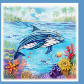 dolphin