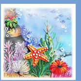 starfish
