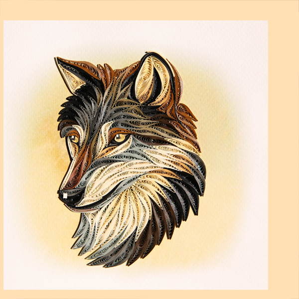 coyote