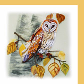 white owl