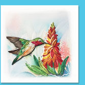 hummingbird