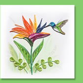 bird of paradies