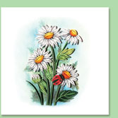 daisy flower