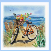 beach bike